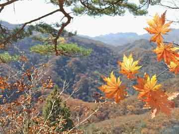 梁山伯与祝英台演员，心灵与自然的美景之旅之旅回顾