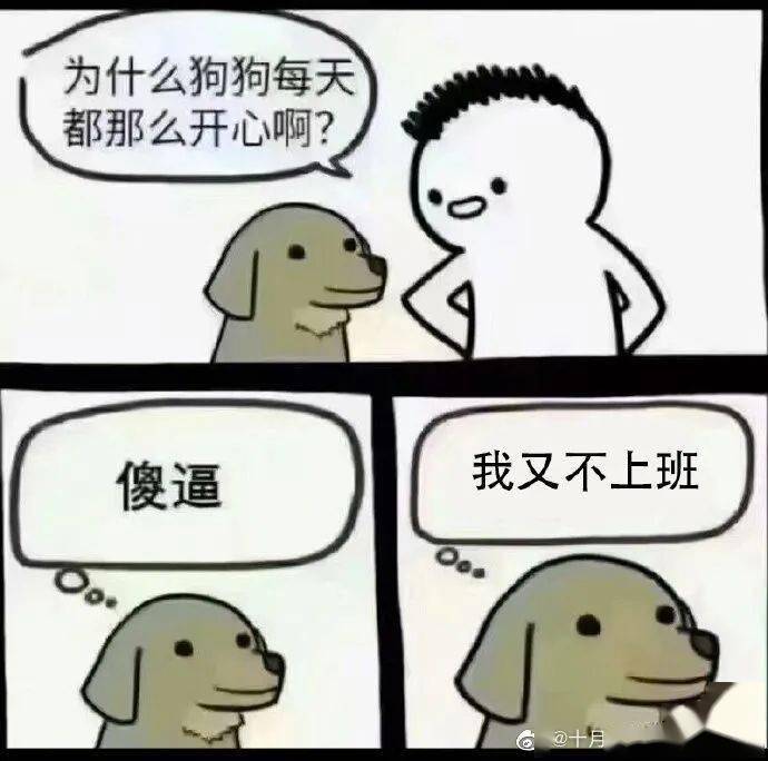 每日新知探索，冷知识的魅力之旅