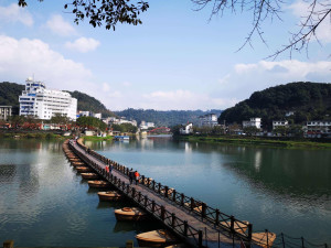最新五通桥，科技与自然的完美融合传奇之桥