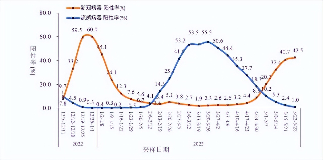 疫情最新动态，下降趋势明显，小巷特色小店成新探秘热点