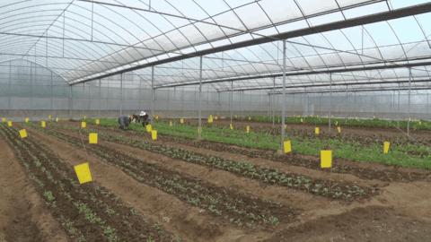 九江城市最新动态，脉搏跃动的城市更新