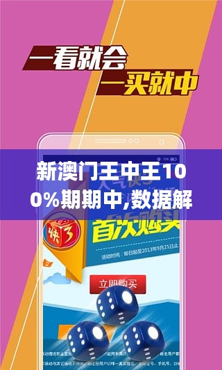 新澳门王中王100%期期中,高效计划实施_定制版12.329