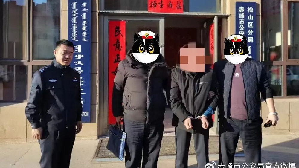 赤峰最新诈骗案件深度报道与分析