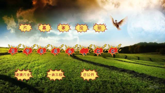 ＂4949澳门今晚开奖＂的：现象分析定义_发布版9.13