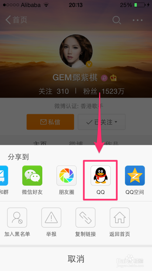明星网页探秘，小巷中的隐藏瑰宝，探索未知魅力的独特之旅