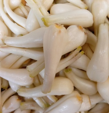 电机 第57页
